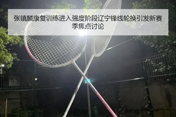 张镇麟康复训练进入强度阶段辽宁锋线轮换引发新赛季焦点讨论
